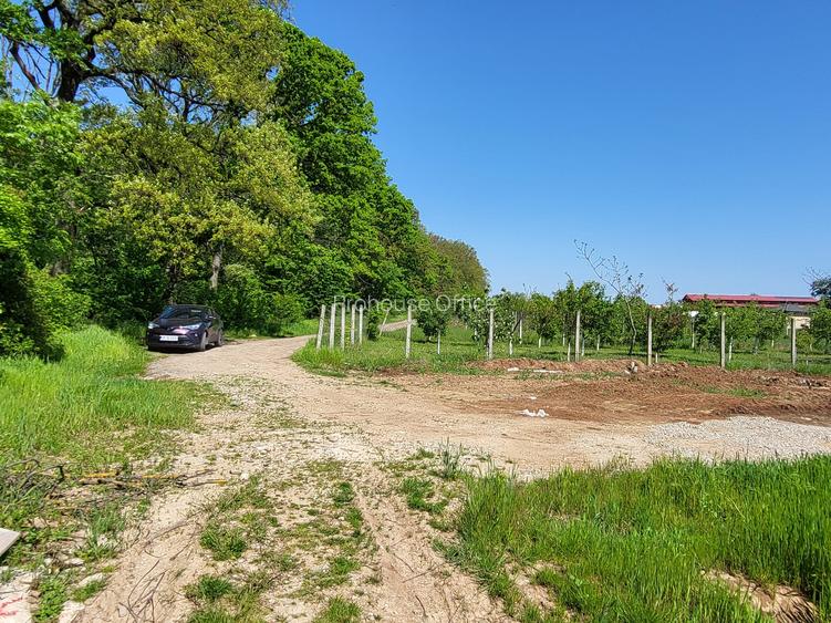 Golf Natural de Pădure Teren Unic  doar la Snagov - 3