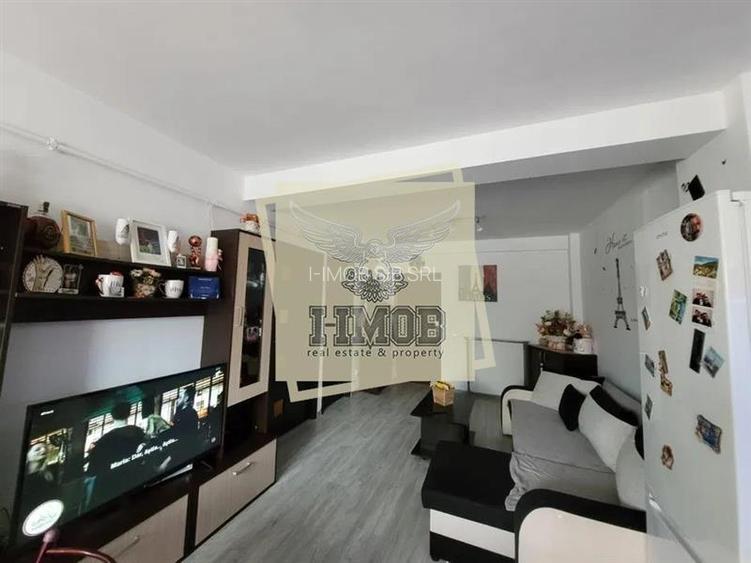 Apartament mobilat cu 2 camere si parcare Doamna Stanca - 8