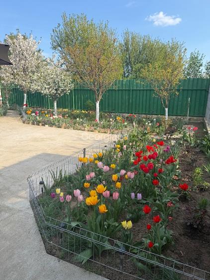 Casă de vânzare comuna Fundeni - 8