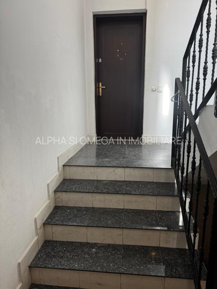 Parter in viluta din 2000 - 17