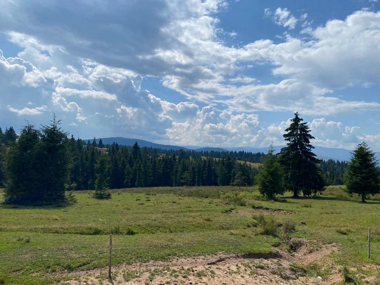 Casa/Cabană deosebită de vânzare în Beliș – 4 dormitoare, teren 800 mp