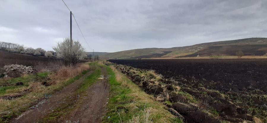 Teren agricol pentru investitii, zona Valea Calda -Iris
