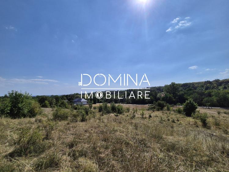 Vânzare teren 13.000 mp - Runcu-Suseni - oportunitate turistică