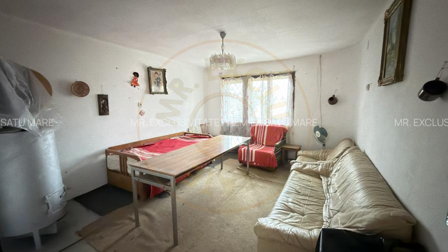 De vânzare 2 Case de vinificație cu Teren 4108 mp - Grădina Viilor - Carei - 12