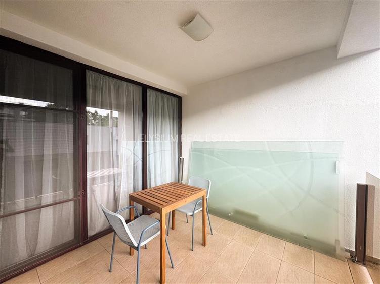 Apartament de inchiriat 3 camere Herastrau - 24