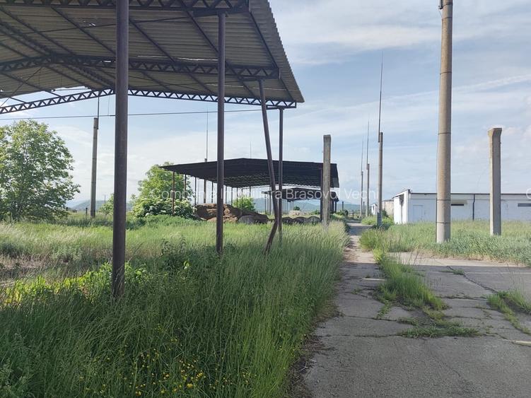 Spatiu productie/ depozitare, 600 mp, Brasov - Bod. - 4