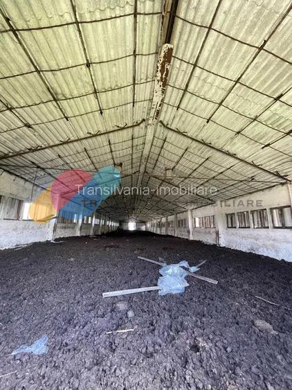 Teren Intravilan 16.000 Mp situat la DN–E81 Zalau-Cluj - 13