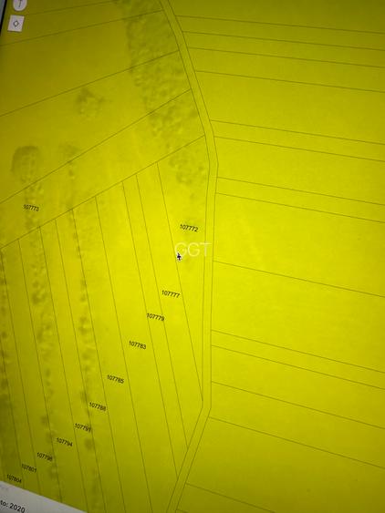 🌄 Teren de vânzare Rusciori, Sibiu 📐 600 mp-1000 mp • direct de la proprietar - 3