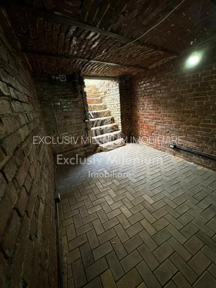 Casa Birouri Parcul Circului - Lizeanu - 12