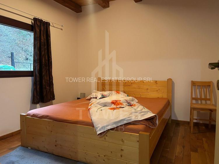 Casă de vacanță în Râu Sadului - 5