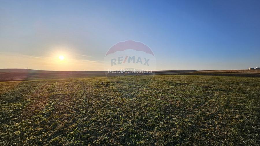 Teren extravilan 10152mp Stroiesti / Soseaua DN17, Suceava - 5