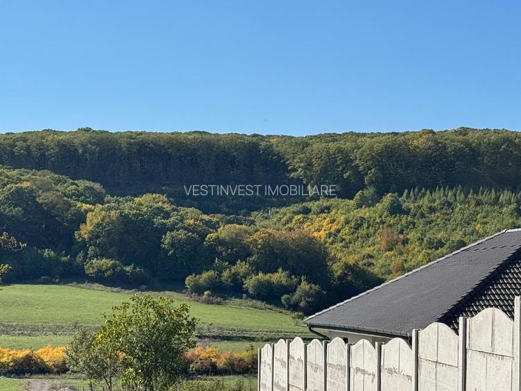 Teren intravilan in localitatea Betfia - 5