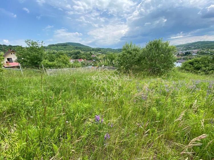 Teren intravilan 2800 mp cu utilitati-ideal case-Valea Ghinzii - 5