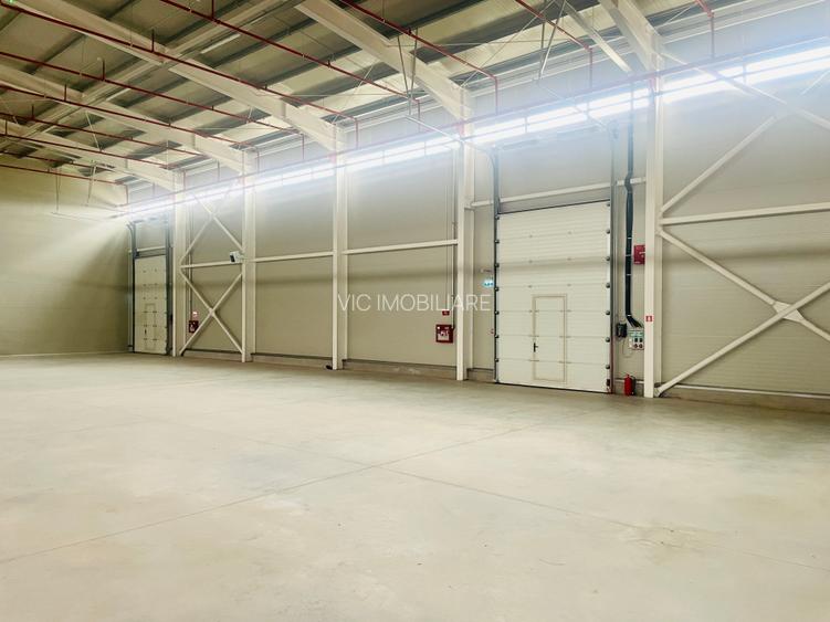 Hala -  Drumul Intre Tarlale - Noua - Aviz ISU - 4