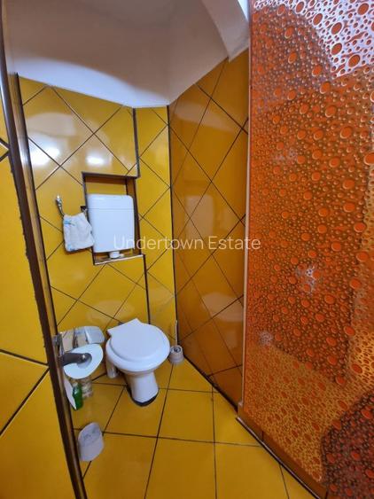 Vilă individuală - Vasile Lascăr - Dacia - 255mp utili - 34