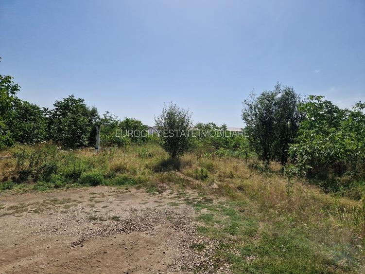 Domnesti - Ciutaci, vanzare 4 loturi de teren intravilan - 14