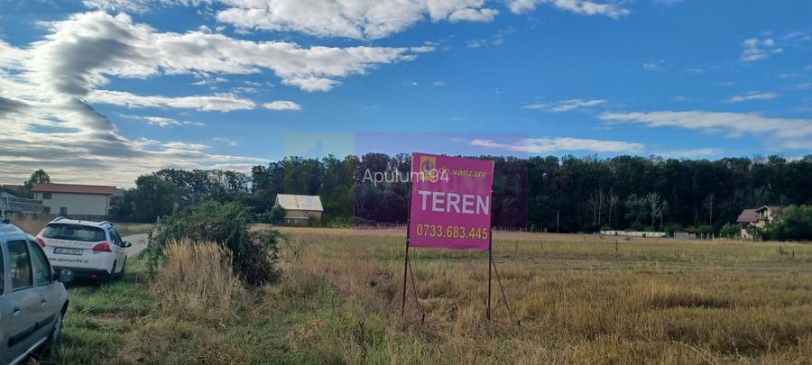 Gulia teren 11.157 mp, lângă Pădurea Cereanca - 2