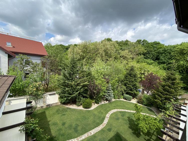 Vila superba - 7 camere - vanzare - Iancu Nicolae - Padurea Baneasa - 21