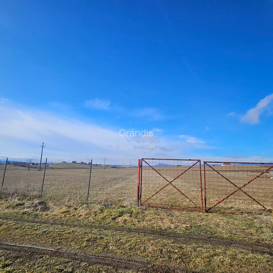 Teren intravilan - Halchiu, construire locuinte individuale - 7