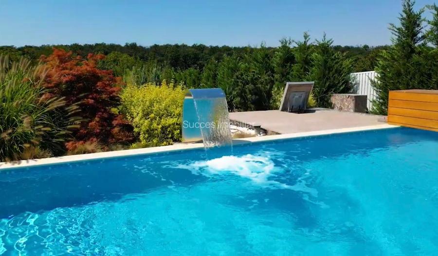 BRANESTI-VILA SUPERBISSIMA,LA LAC,PISCINA,FANTASTICA,UNICAT,700000 EURO - 4