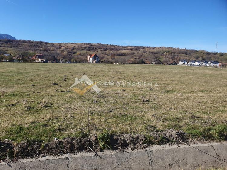 Teren intravilan 10.600 mp Strada Branului - 4