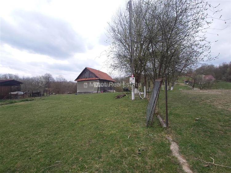10 000 mp teren intravilan cu priveliste - 8