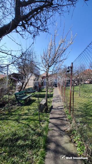 Casa alipita, singur in curte, 90 mp utili, anexe, teren 625mp, Db Rotund - 4