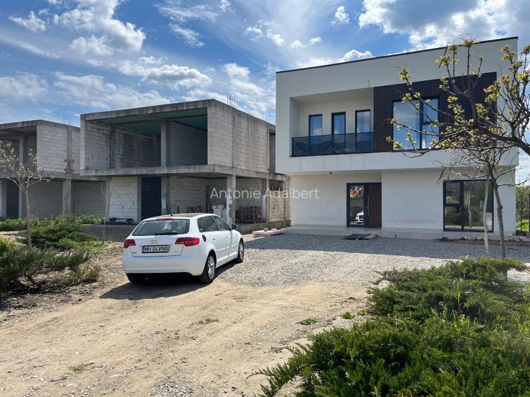 Casa la Dunare - Simian - Calea Hinovei - 3