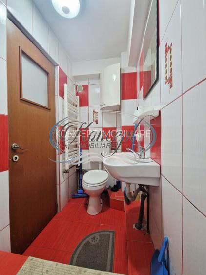 Apartament compact cu acces independentin apropiere de Sanex - 13