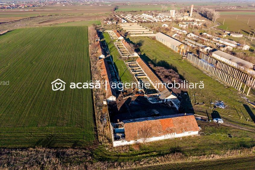 Ferma 1.15 HA lângă DN7 & Autostrada E68 – Nădlac | clădiri+utilități - 2