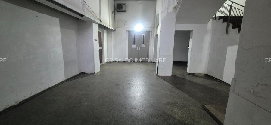 Spatiu Theodor Pallady - 11