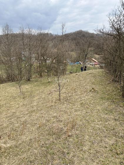 Teren Salatrucel Valcea intravilan cu curent trifazat 380V, faneata si padure - 5