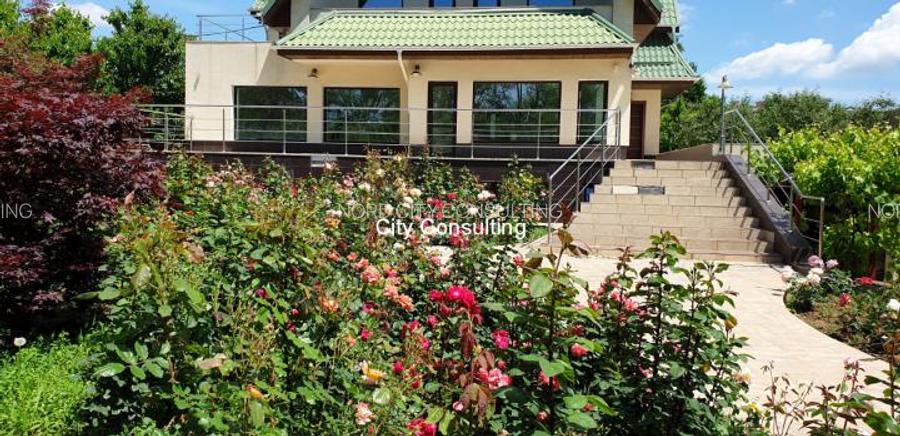 Vanzare vila Mogosoaia - Chitila Lac - 2