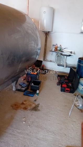 Ferma zootehnică funcțională, populată cu peste 200 capete bovine, aproape de Sâ - 3