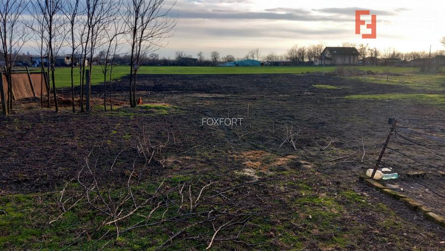 Casa individuala + hala de vanzare in Grabat  - 2