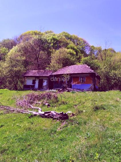 Teren de vis la munte – 7.795 mp – construibil – pârâu, pădure, fără vecini - 3