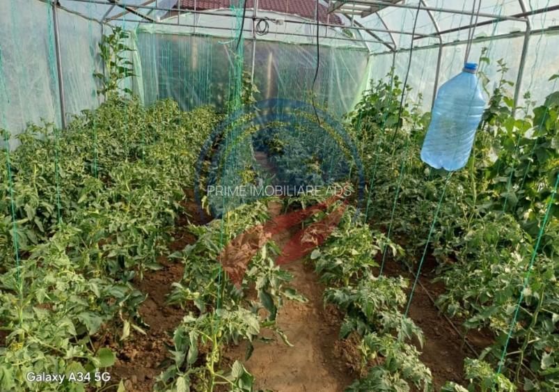 Casa cu teren generos/de vanzare/com Leu, Dolj - 23