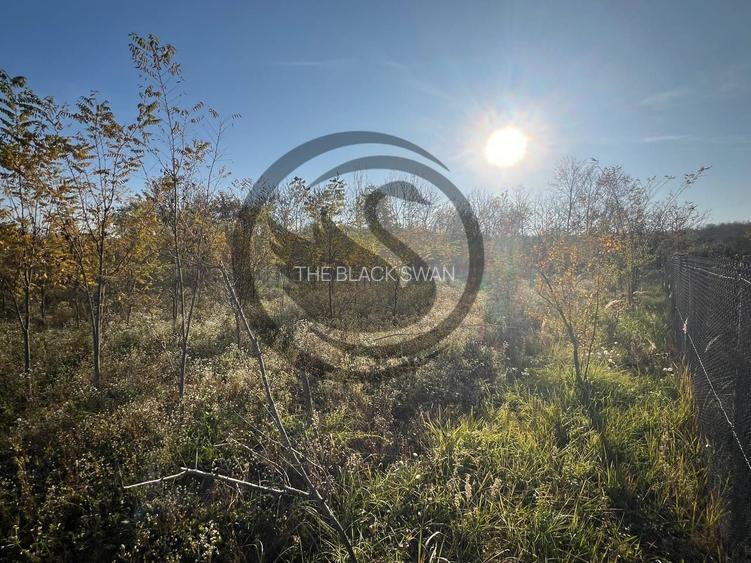 Teren intravilan de vanzare | 12.650 mp | Ghirdoveni, | Comision 0% - 13