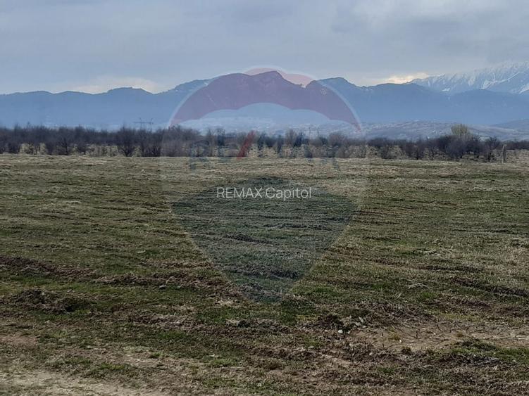 Teren 10,000mp Rasnov / Drumul Panicel - 6
