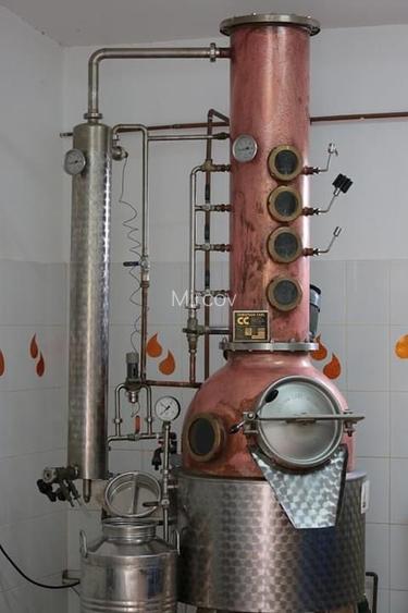 Crama / distilerie  boutique + 20000 sticle vin premium in DOC MINIS  - 13