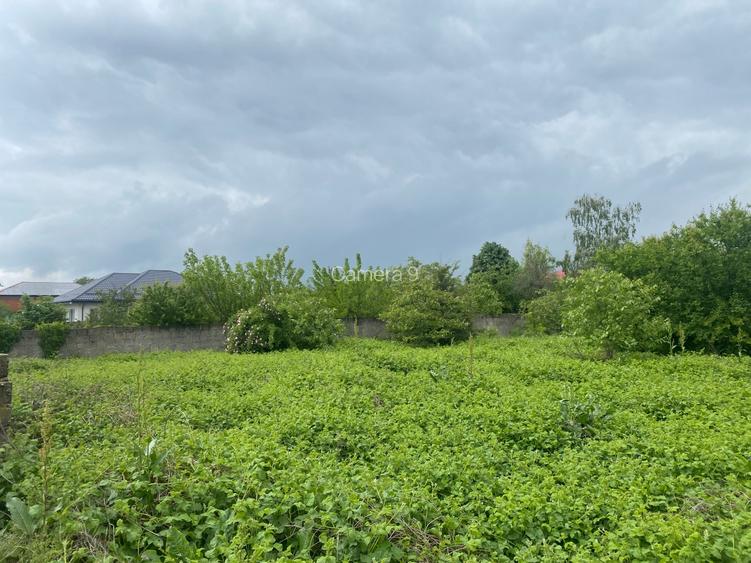 Islaz - Branesti - teren 1374mp - canalizare - gaze - curent - asfalt - 6