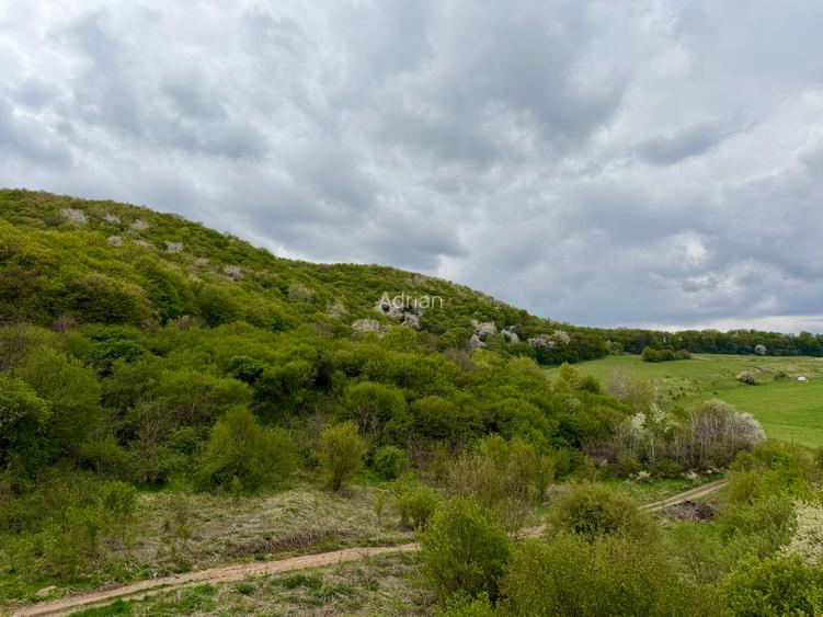 Apartament 2 camere, terasă generoasă, parcare subterană – liniște și priveliște - 15