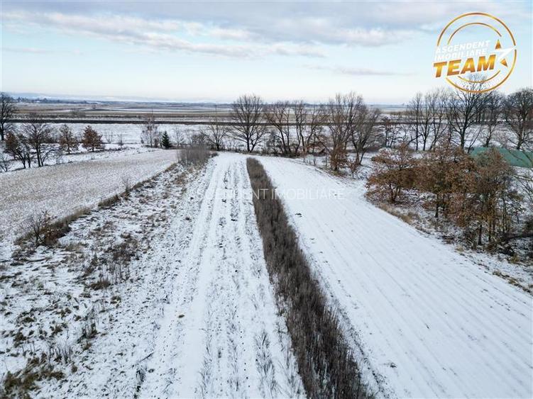 FILM! Oaza ta de liniste pe 4.900mp teren intravilan, Tufalau, Covasna - 10