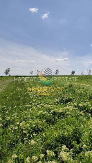 Teren intravilan – 450 mp, pe malul lacului, utilitati la lot - 8