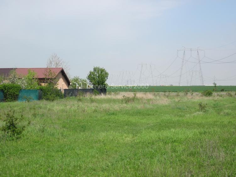 Domnesti-Crengutei - 11