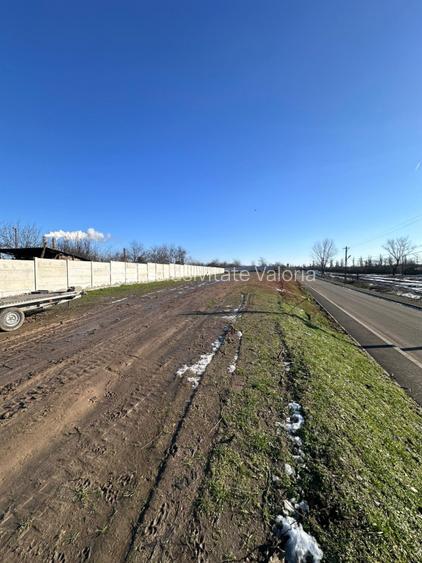  Teren intravilan - oportunitate de investitie - 5