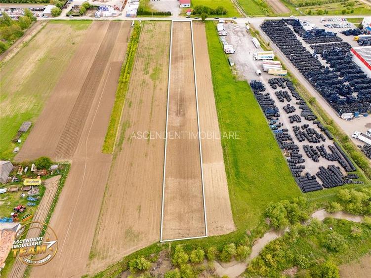 FILM! 5.000 mp teren, la marginea orasului Targu Secuiesc, aria industriala - 8