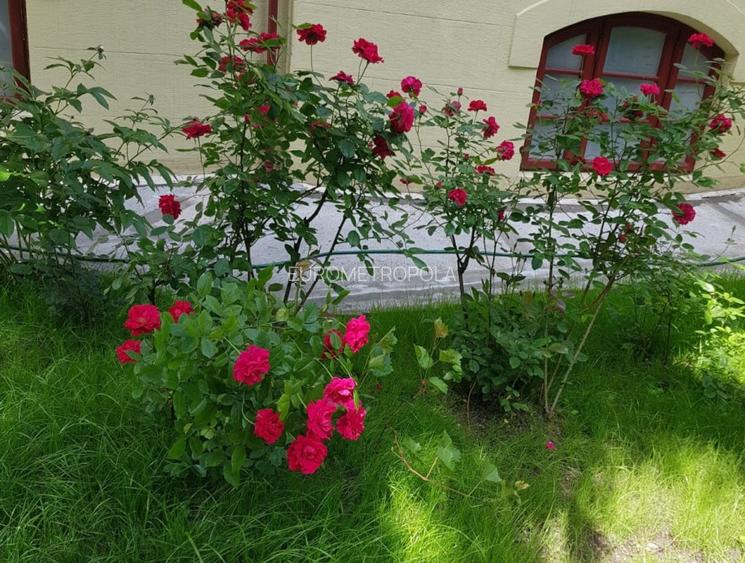 Vila cu arhitectura si intimitate Cismigiu - 3