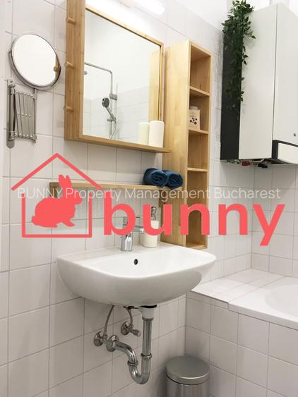 COZY STUDIO ARMENEASCA - 3