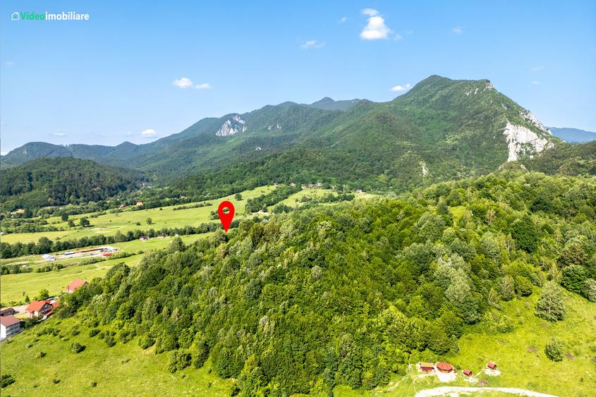 Teren cu vedere superba spre Cheile Rasnoavei, 8800 mp, la marginea pădurii